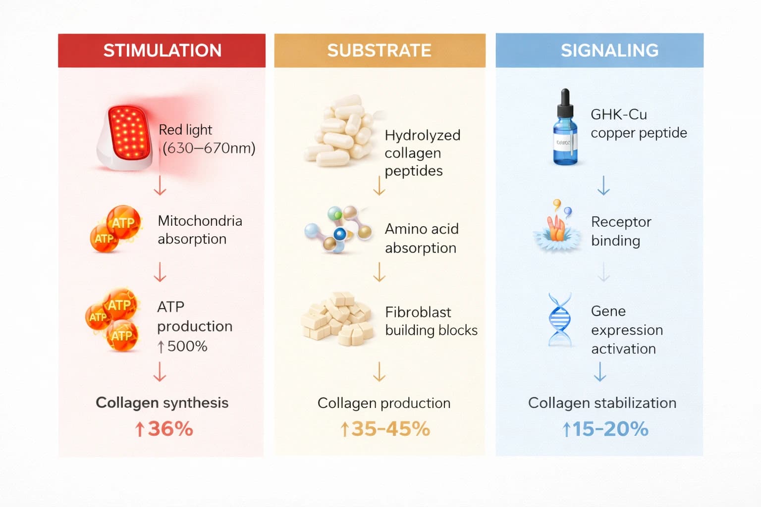 Scientific diagram showing three collagen production pathways: red light stimulation pathway increasing ATP 500%, collagen peptide substrate pathway with amino acid absorption, and copper peptide signaling pathway activating gene expression
